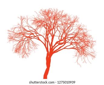 Naked Tree Silhouette On White Background Stock Vector Royalty Free Shutterstock
