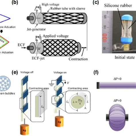 PDF Fluid Driven Artificial Muscles Bio Design Manufacturing