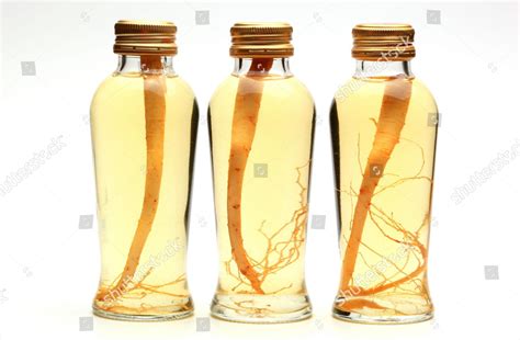 Pickled Ginseng Panax Ginseng Ginseng Roots Editorial Stock Photo