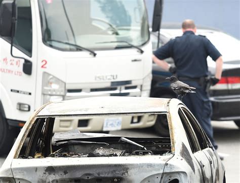 Did Canuck The Crow Swoop Off With A Knife From A Vancouver Crime Scene