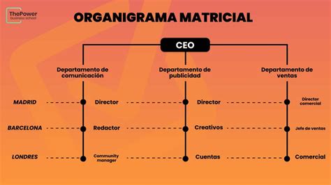 Organigramas Verticales De Empresas Tipos Y Guía Completa