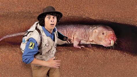Andys Safari Adventures Series Andy And The Naked Mole Rat
