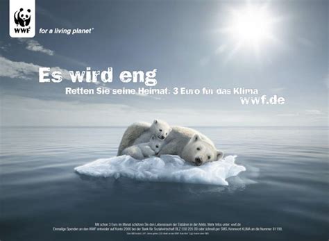 Spendenkampagne Zur Rettung Des Klimas Und Der Eisb Ren World