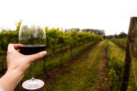 Niagara Wine Trail Buffalo Attractions Review 10best Experts And