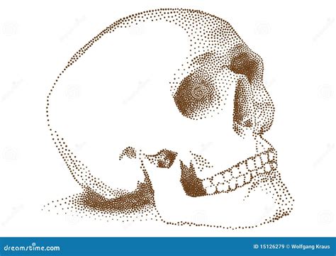 Menselijke Schedel Vector Illustratie Illustration Of Gestippeld