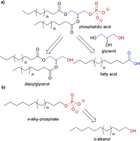 Phosphate Ester Synthesis