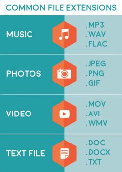 common file extensions poster  informationcomputerdigital
