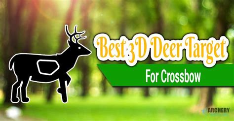 Best 3d Deer Target For Crossbow And Archery