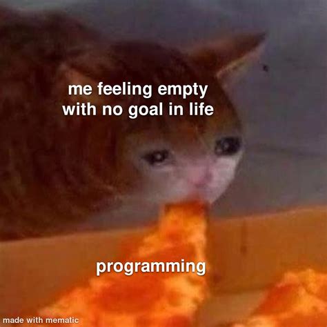 I Feel Called Out Rprogrammerhumor