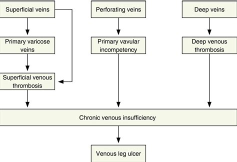 Venous Ulcer Pathophysiology