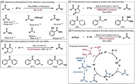 Nickel Catalyzed Reductive Cross Couplings New Opportunities For