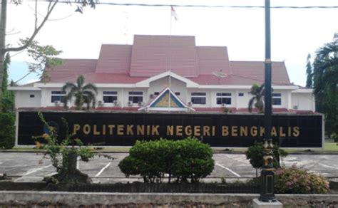 Politeknik Negeri Bengkalis Polbeng Info Perguruan Tinggi