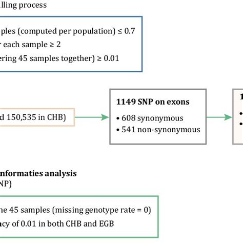 Flow Chart For Single Nucleotide Polymorphism Snp Detection And Download Scientific Diagram