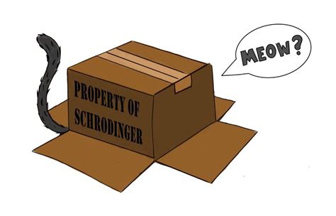 Cartoon Schrodinger’s cat in a box Schrodingers Cat, Cats, Science And ...