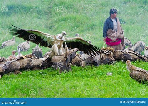 Tibetan sky burial editorial stock photo. Image of dead - 26673798