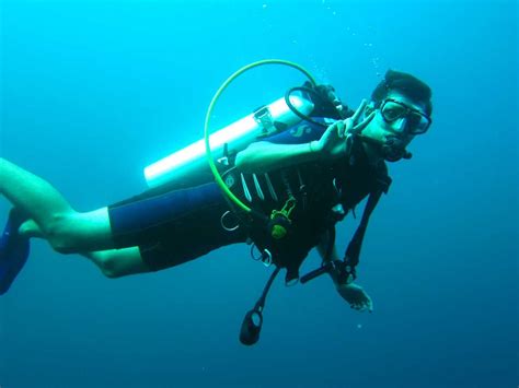 Scuba Diving In Seattle 8 Best Dive Spots And 6 Diving Schools