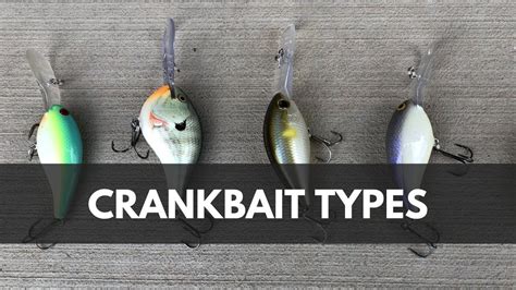 Crankbait Guide - Styles & Types of Lures To Catch Bass - YouTube