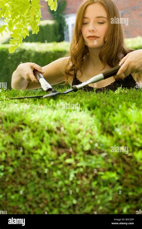 A Woman Trimming Hedge With Shears Stock Photo Alamy