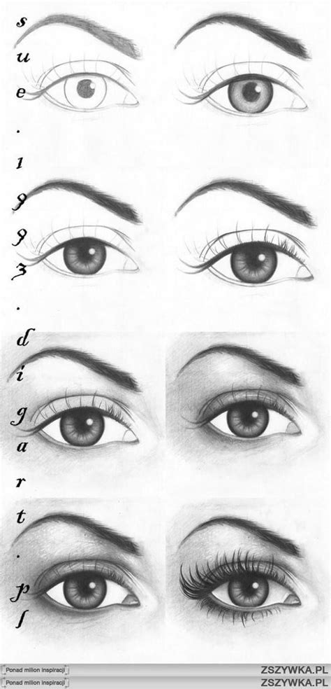 The Different Types Of Eyes And How To Draw Them