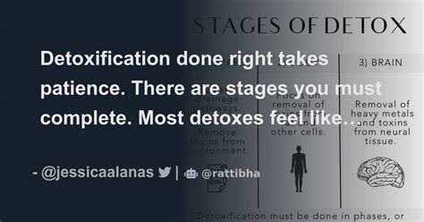 Detoxification Done Right Takes Patience There Are Stages You Must