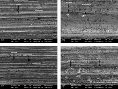 SEM Image Of Specimen After Wear Test Sliding Distance 1500 M Sliding