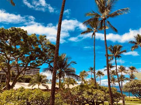 OUTRIGGER KĀANAPALI BEACH RESORT Updated December 2024 1127 Photos