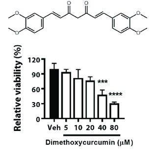 Acute Toxicity Of Curcumin Dimethoxycurcumin And Bisdemethoxycurcumin