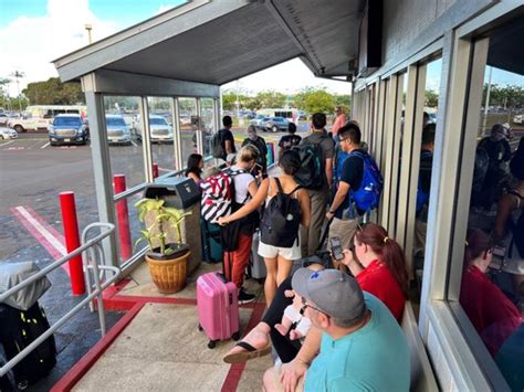 AVIS RENT A CAR - Updated February 2026 - 85 Photos & 360 Reviews ...