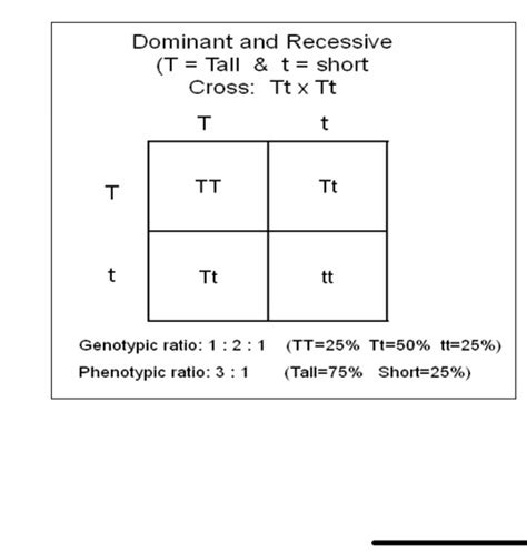 Biology 9 Weeks Exam Flashcards Quizlet