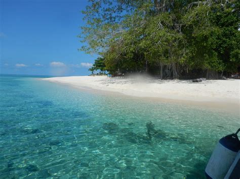 Scuba Dive Sipadan Semporna Tutto Quello Che C è Da Sapere