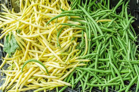 Green And Yellow Snap Beans Stock Image Image Of Market Grocery