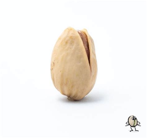 Roasted and Unsalted Pistachios | House of Pistachios