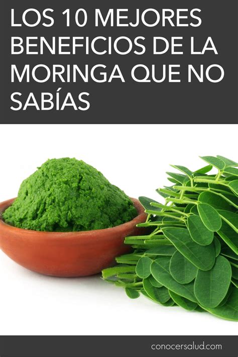 Beneficios De La Moringa Para Tu Salud Y Sus Efectos Secundarios