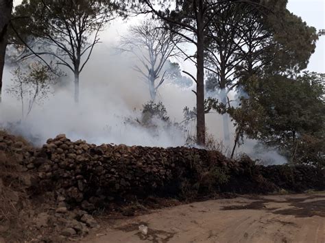 Consume Incendio Hect Reas Del Parque Nacional De Uruapan