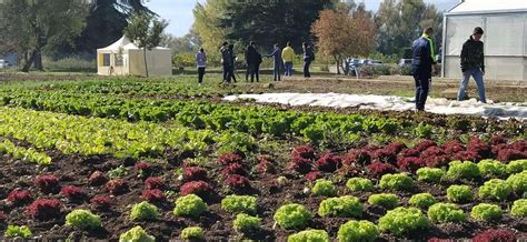 Corso Di Laurea In Agricoltura Sostenibile