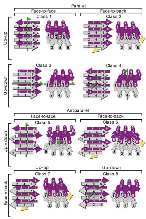 Biomolecules | Special Issue : Protein Folding and Misfolding