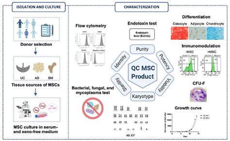 Standardized Xeno And Serum Free Culture Platform Enables Large Scale