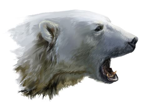 A polar bear growls by Kajenna on DeviantArt