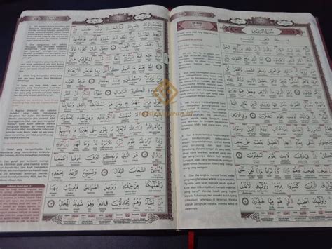 Contoh Al Quran Dan Terjemahan