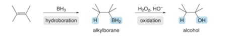 Chapter 10 Alkene Reactions Flashcards Quizlet
