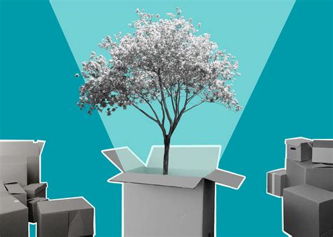 11 Most Innovative Sustainable Packaging Ideas