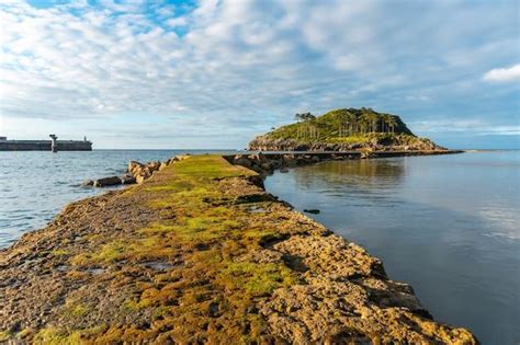 San Nicolas Island: A Hidden Gem and Wildlife Paradise - GCELT