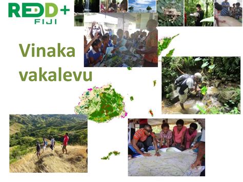 Future challenges in REDD+ for Fiji | PPTX