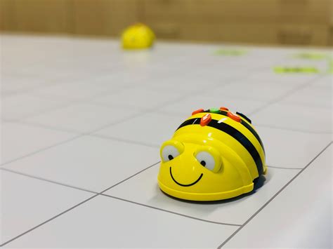 Bee Bot Accessories Lets Know More About Techclass4kids