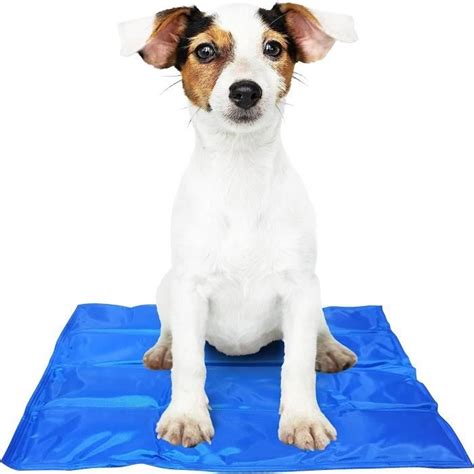 Tapis Rafra Chissant Pour Chien Coussin Froid Pet Matelas R Frig Rant