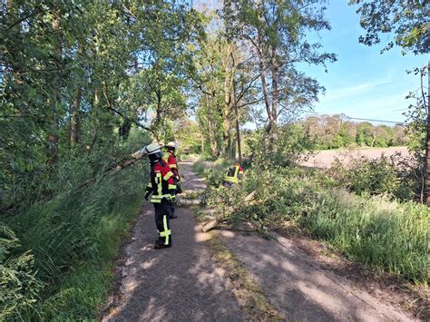 Baum droht auf Straße zu stürzen in Hoogstede Feuerwehr Emlichheim