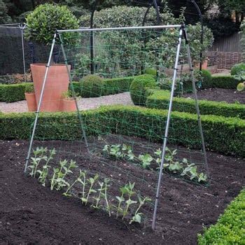 Harrod Slot Lock Bean And Pea Support Frames Harrod Horticultural Uk