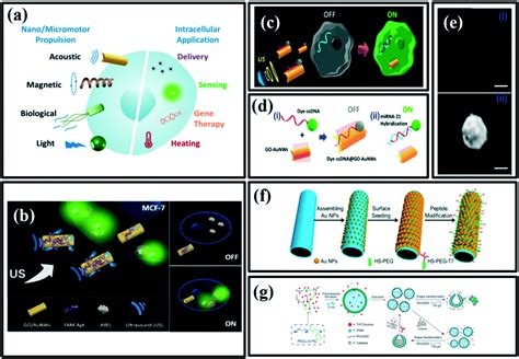 Bioinspired Micro Nanomotors Towards A Self Propelled Noninvasive