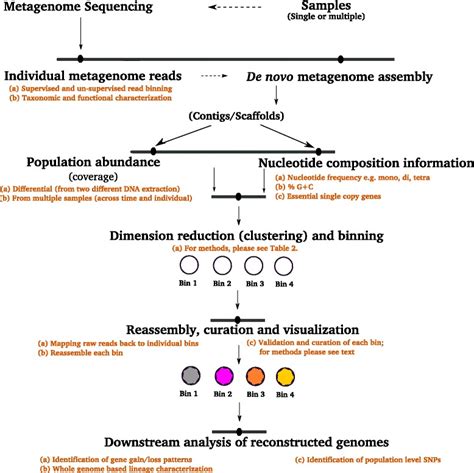 Recovering Complete And Draft Population Genomes From Metagenome