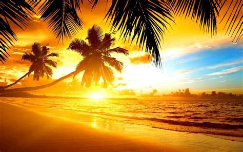 Tropical Island Sunset Wallpaper - WallpaperSafari